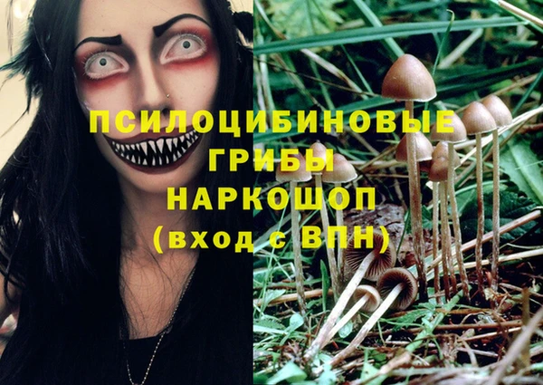 ешки Каменка