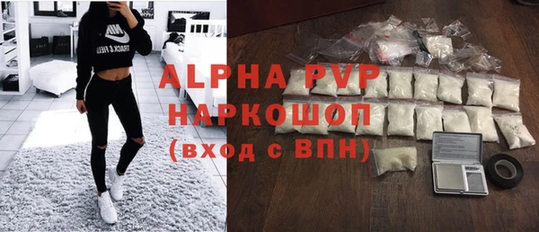 гашик Каменногорск