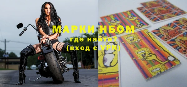 гашик Каменногорск