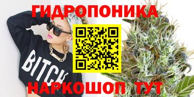 крисы Ливны