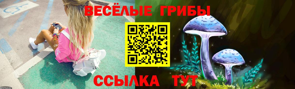 Галлюциногенные грибы Psilocybine cubensis Сертолово