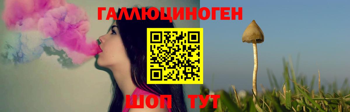 Галлюциногенные грибы Magic Shrooms  Вход с VPN  Сертолово 